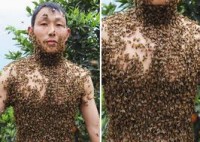 /album/galeria-de-fotos/chines-jpg/